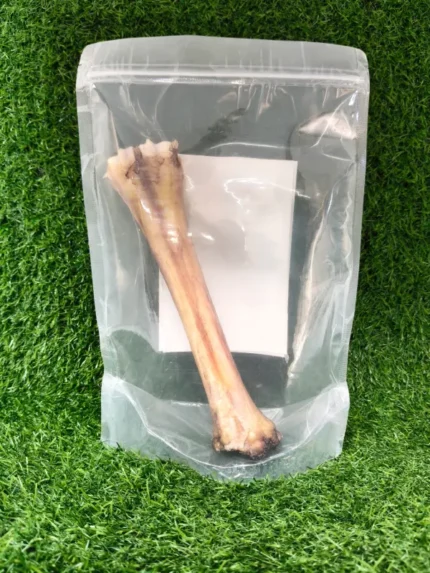 Shop Secondary Image