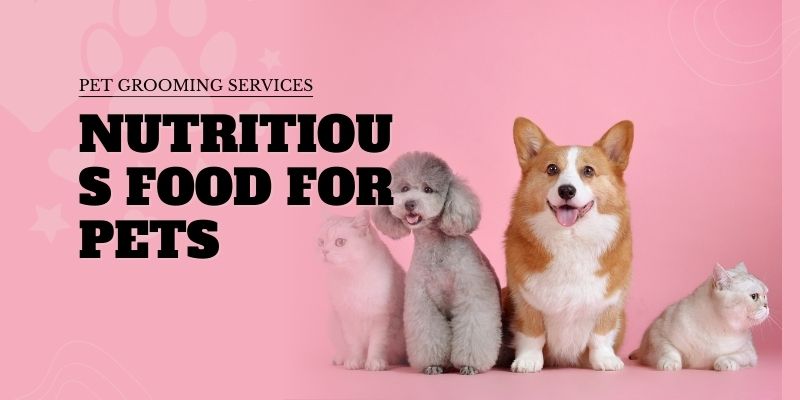 Nutritious Food For Pets